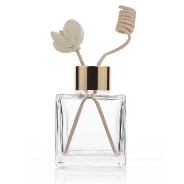 Wholesale 110ml specially shaped fragrance bottles, complete sets